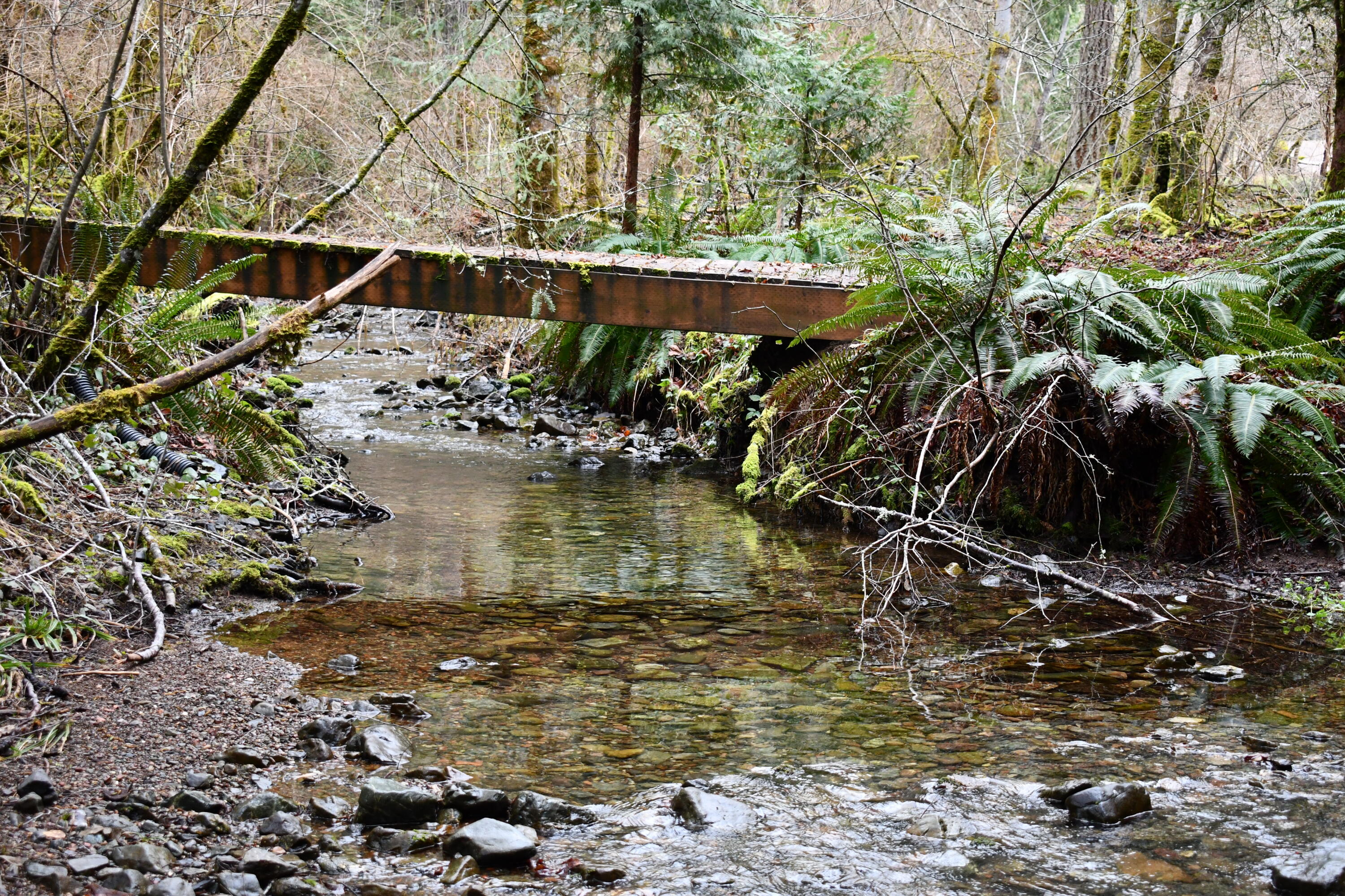 4366 Thompson Creek Road Selma, OR 97538 - Photo 5 of 36 DSC_0548