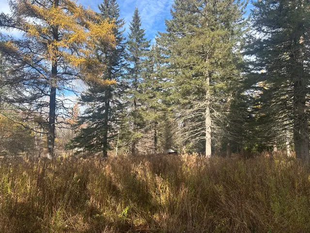 $130,000 | 233 Porter Nadeau Road, Eustis, ME 04936