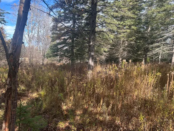 $130,000 | 233 Porter Nadeau Road, Eustis, ME 04936