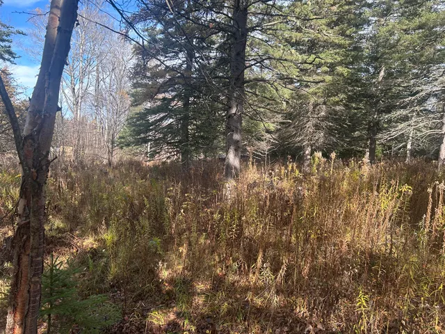 $130,000 | 233 Porter Nadeau Road, Eustis, ME 04936