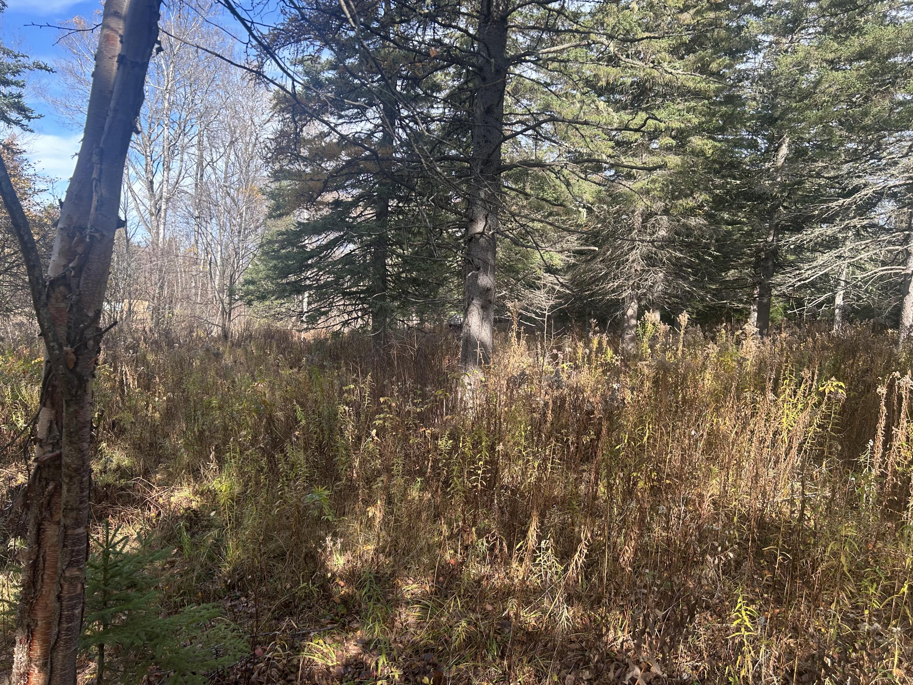 233 Porter Nadeau Road Eustis, ME 04936 - Photo 14 of 16 IMG_3710