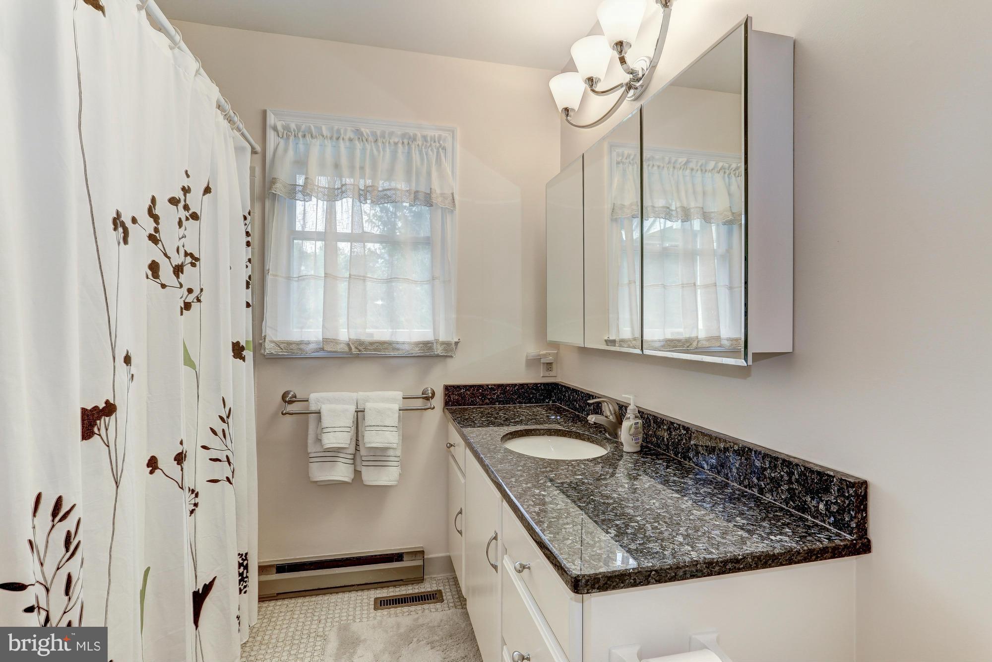 238 Hunters Road Washington, VA 22747 - Photo 17 of 30 Bath (Master)