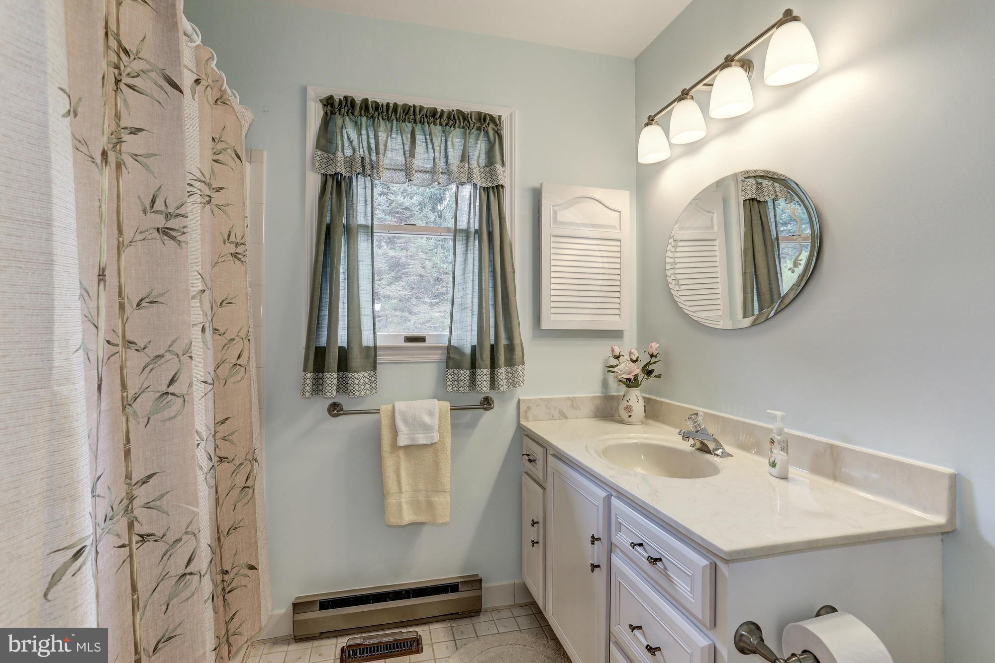 238 Hunters Road Washington, VA 22747 - Photo 20 of 30 Bath