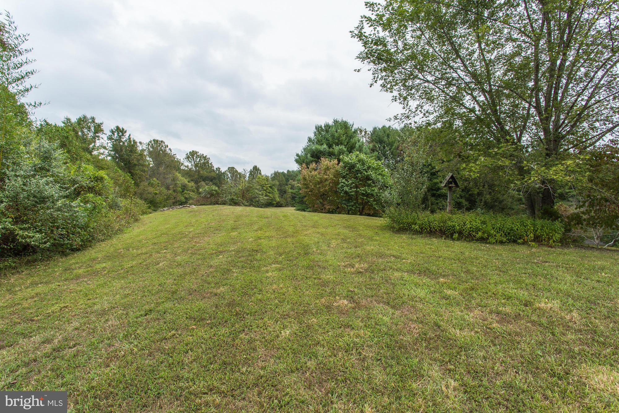 238 Hunters Road Washington, VA 22747 - Photo 29 of 30 Huge, easy care yard