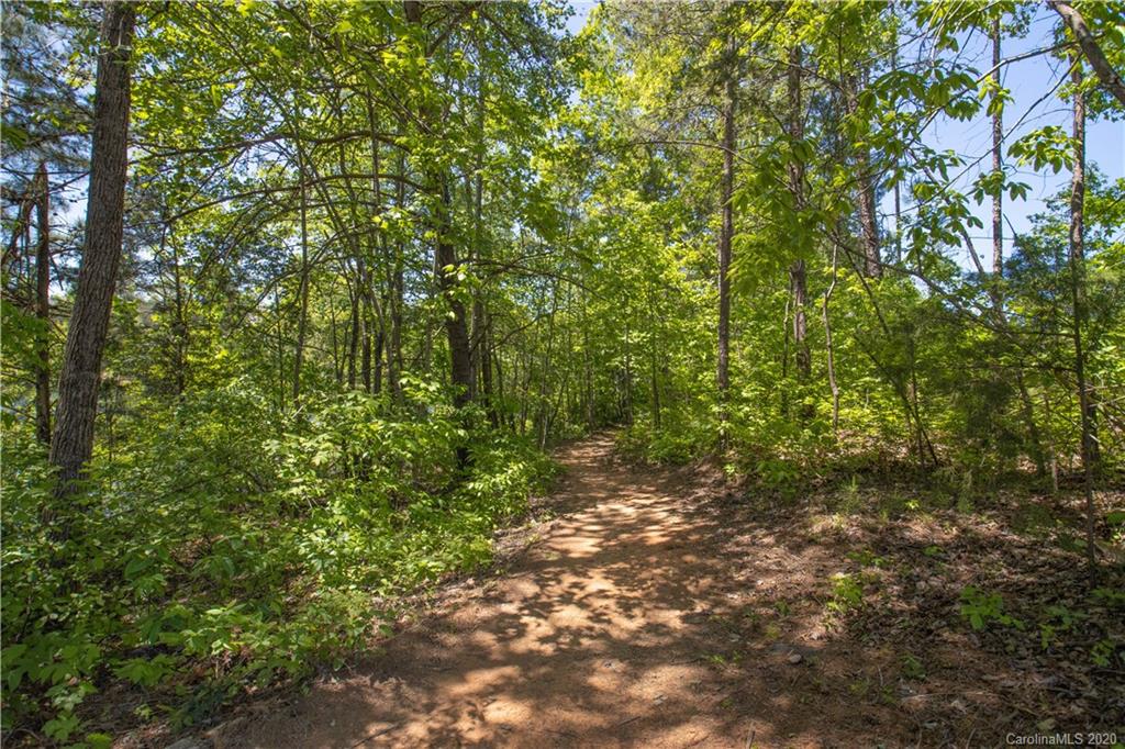 1026 Emory Lane Fort Mill, SC 29708 - Photo 39 of 41 a view of a large yard with lots of green space