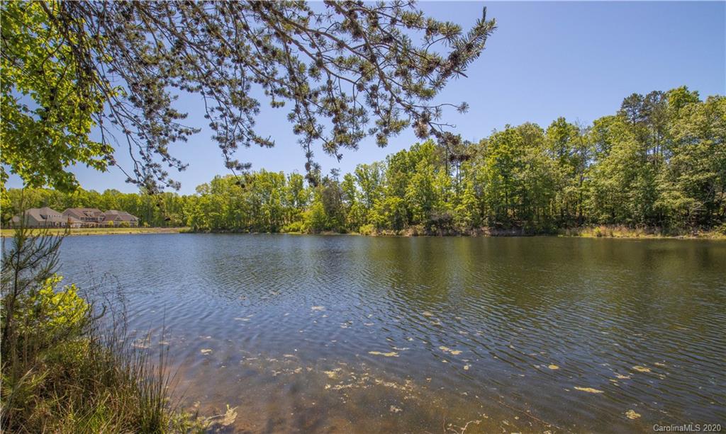 1026 Emory Lane Fort Mill, SC 29708 - Photo 41 of 41 a view of a lake with a mountain in the background
