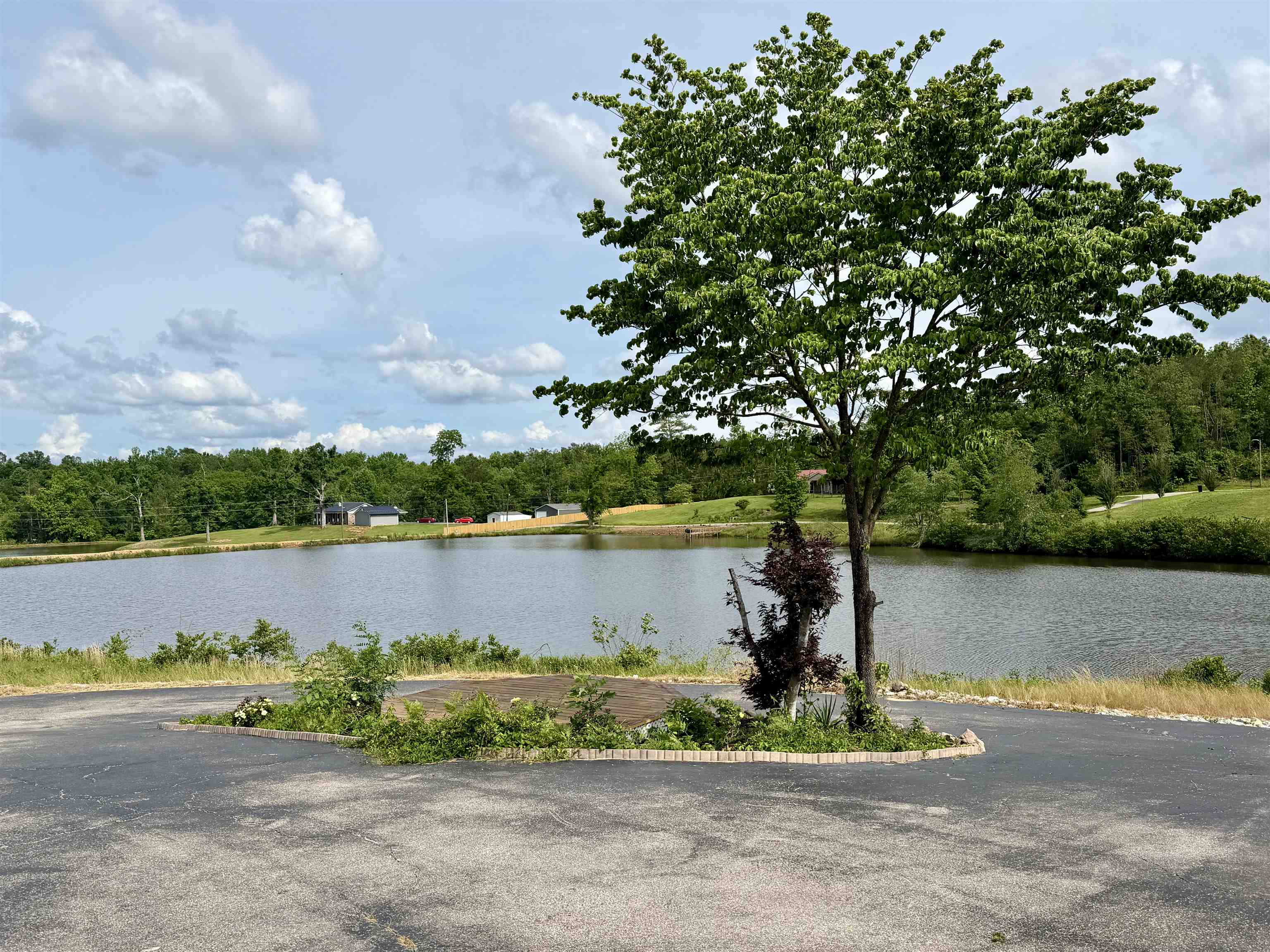 172 New Bethel Road Selmer, TN 38375 - Photo 26 of 30 a view of a lake with houses in the back