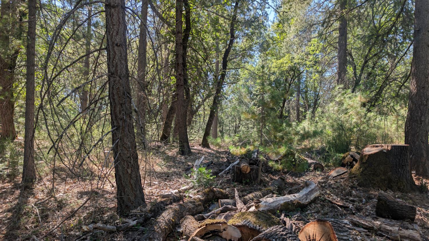 0 South Manzanita Hills Road Colfax, CA 95713 - Photo 2 of 15