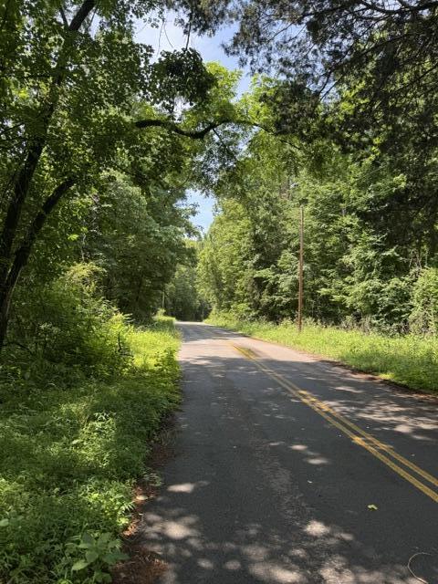 2784 Fiery Gizzard Road South Pittsburg, TN 37380 - Photo 18 of 19 Hankins 11