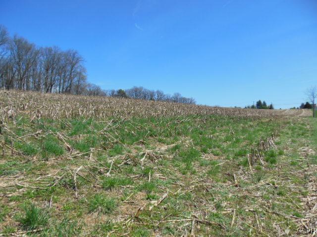 2723 Distillery Road Fogelsville, PA 18051 - Photo 3 of 6 View to Southeast boundary of property