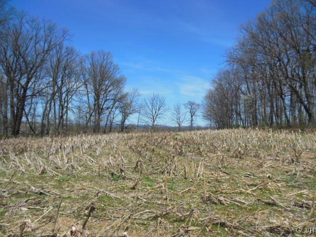 2723 Distillery Road Fogelsville, PA 18051 - Photo 4 of 6 Gallery Image 4
