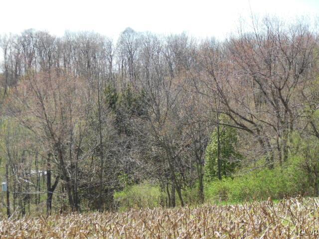 2723 Distillery Road Fogelsville, PA 18051 - Photo 6 of 6 view to Northwest of property.