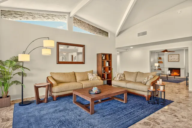 a living room with furniture a rug and a potted plant