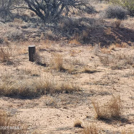 a view of a dry yard