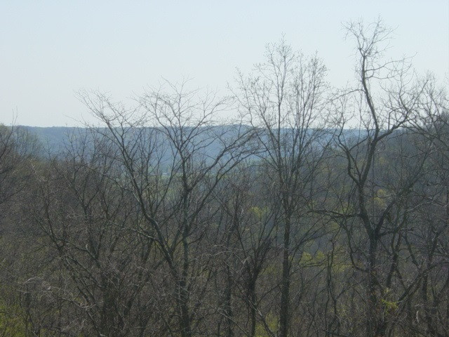0 Augusta-dover Road Augusta, KY 41002 - Photo 5 of 21 Gallery Image 5