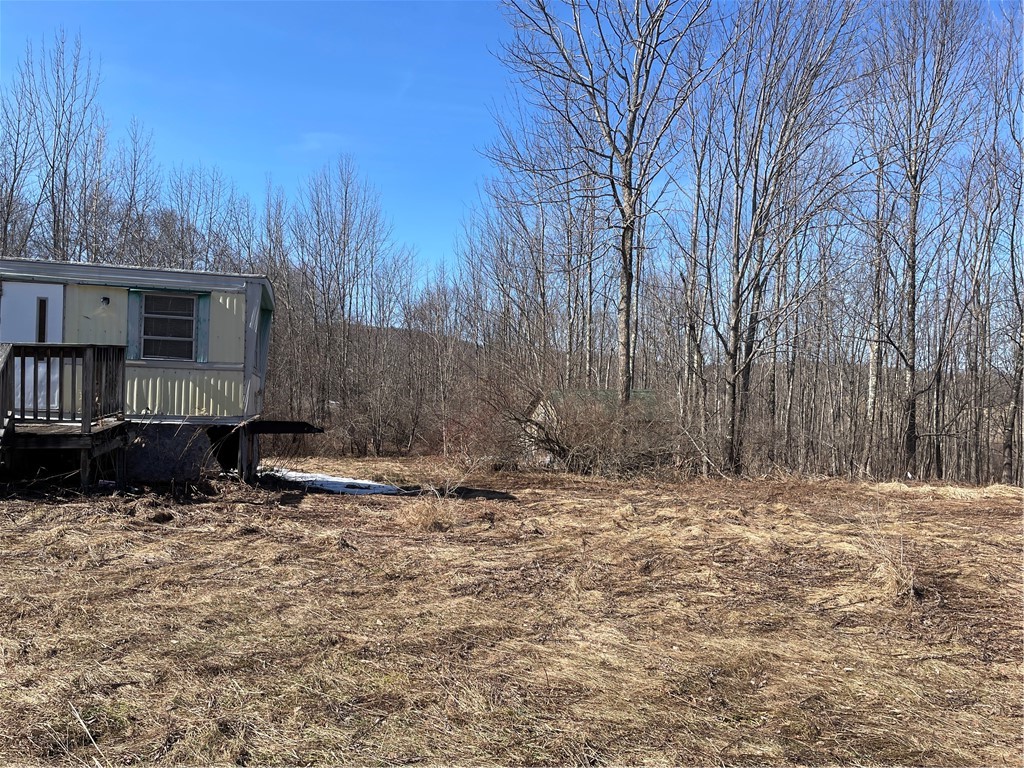 683 Highway 10 Jefferson, NY 12167 - Photo 2 of 10