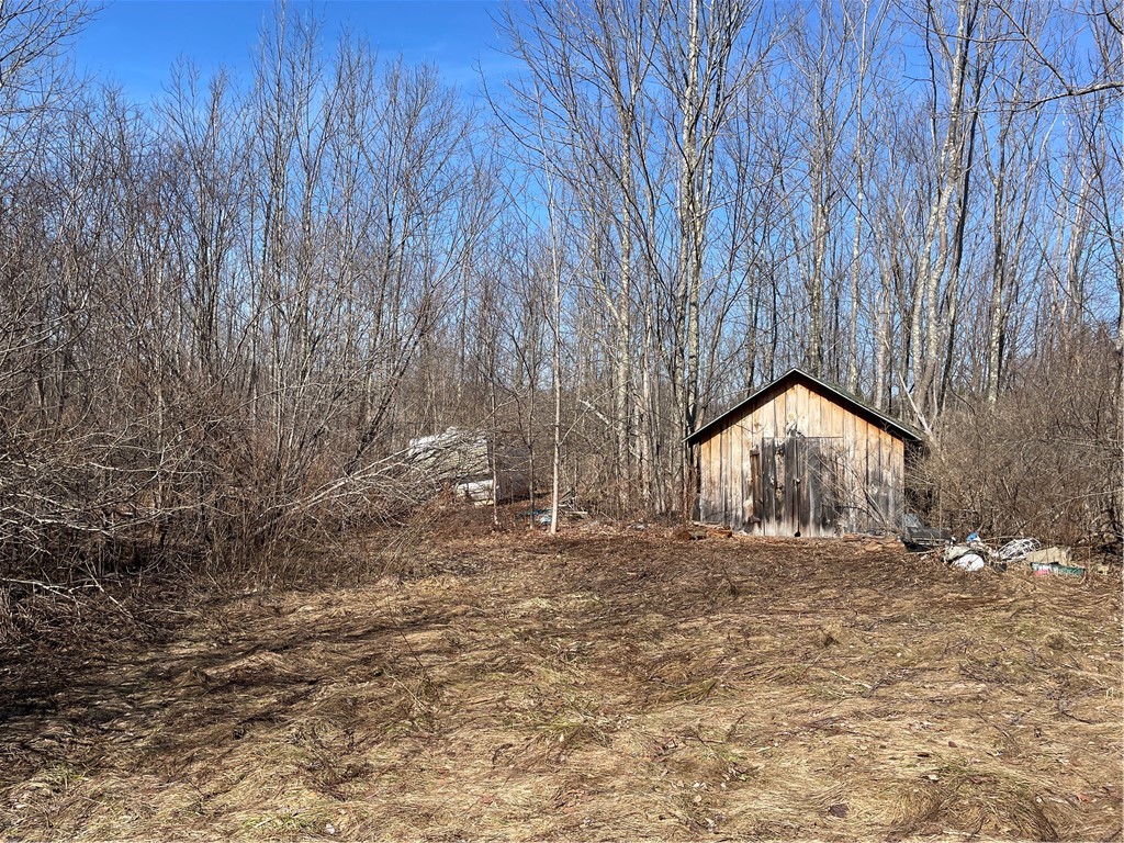 683 Highway 10 Jefferson, NY 12167 - Photo 3 of 10