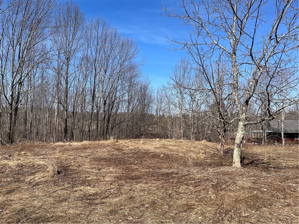 683 Highway 10 Jefferson, NY 12167 - Photo 4 of 10