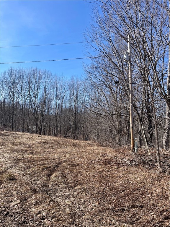 683 Highway 10 Jefferson, NY 12167 - Photo 5 of 10