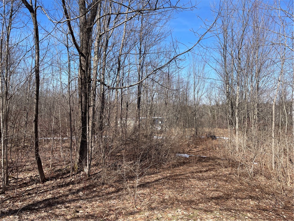 683 Highway 10 Jefferson, NY 12167 - Photo 6 of 10