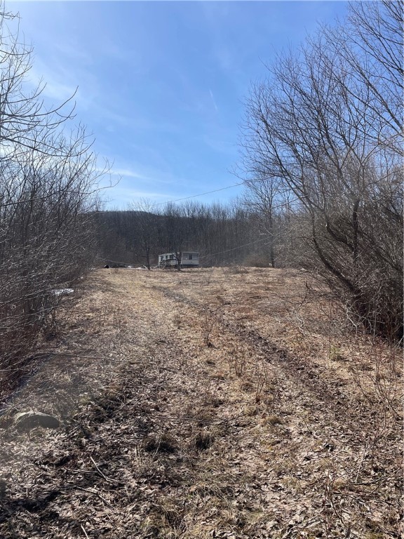 683 Highway 10 Jefferson, NY 12167 - Photo 7 of 10