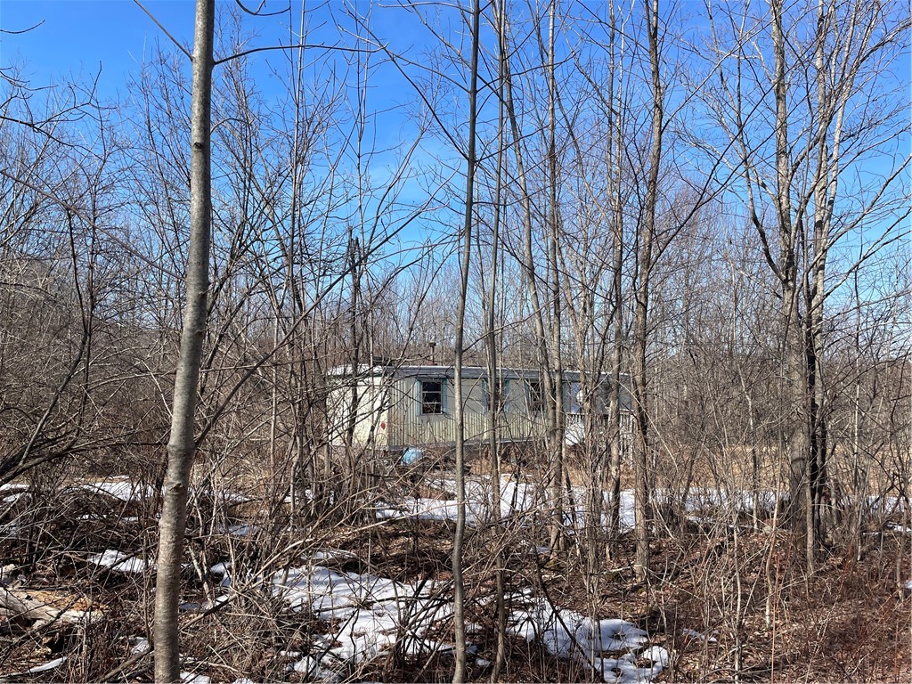 683 Highway 10 Jefferson, NY 12167 - Photo 8 of 10