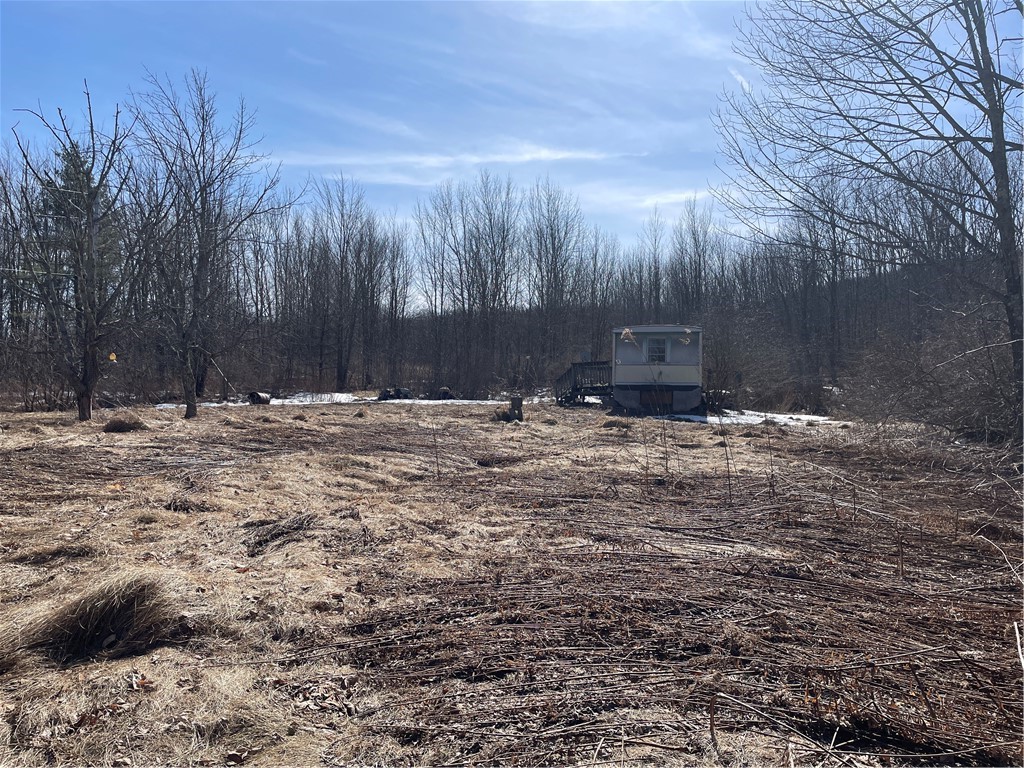 683 Highway 10 Jefferson, NY 12167 - Photo 9 of 10