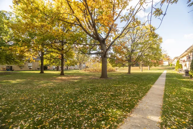 a view of yard with tree s