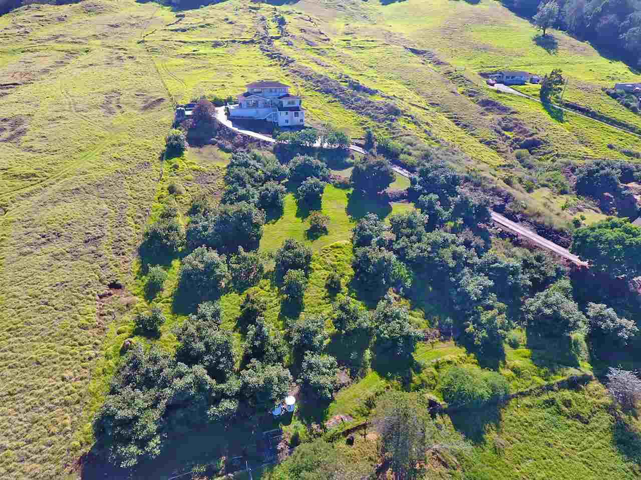 1415 Middle Road Kula, HI 96790 - Photo 26 of 30 a view of banana tree