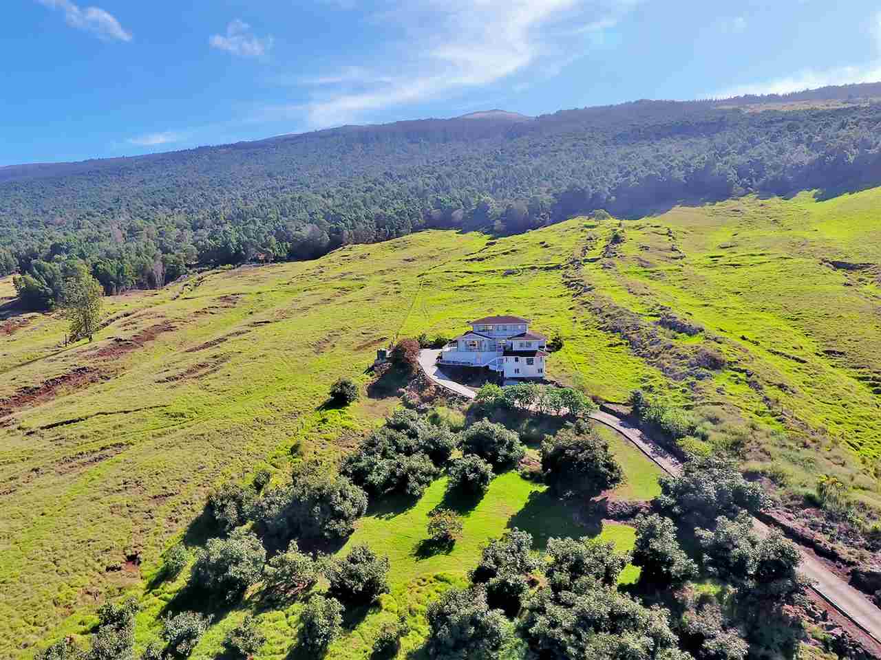 1415 Middle Road Kula, HI 96790 - Photo 28 of 30 a view of a yard with an ocean