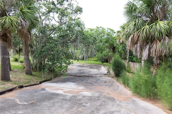 a view of a yard with plants and large trees