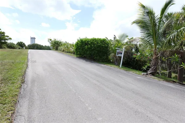 a view of a field with a tree in the background