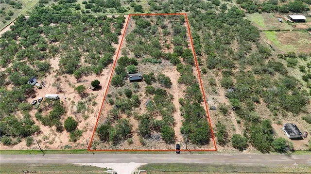 an aerial view of a forest with a street