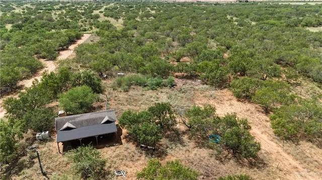 a view of a yard with plants and trees