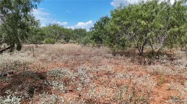 an aerial view of a house with outdoor space and street view