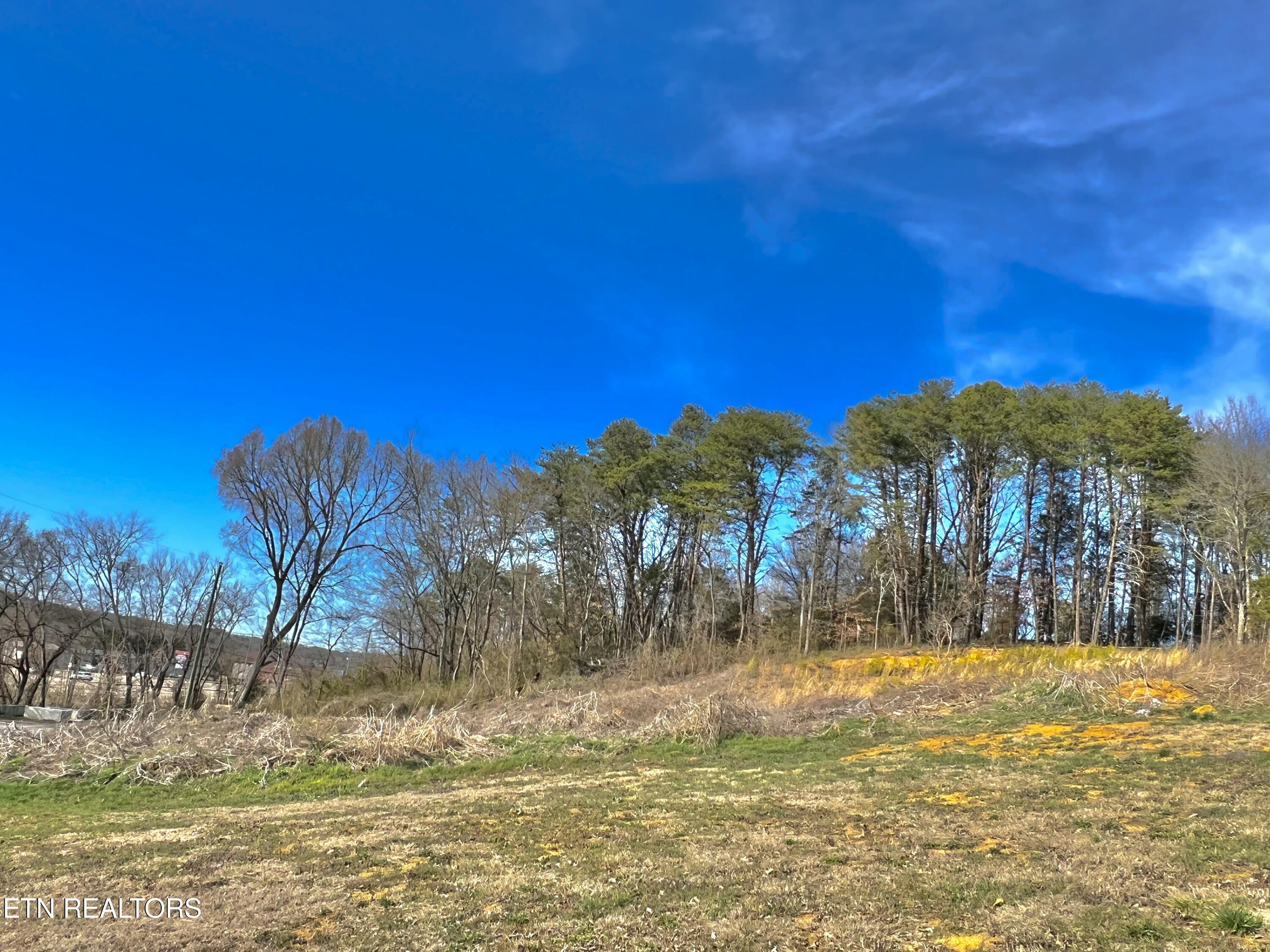 1483 Catlettsburg Road Sevierville, TN 37876 - Photo 10 of 14 IMG_2171