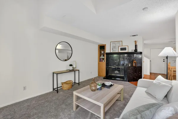 a living room with furniture and a fireplace