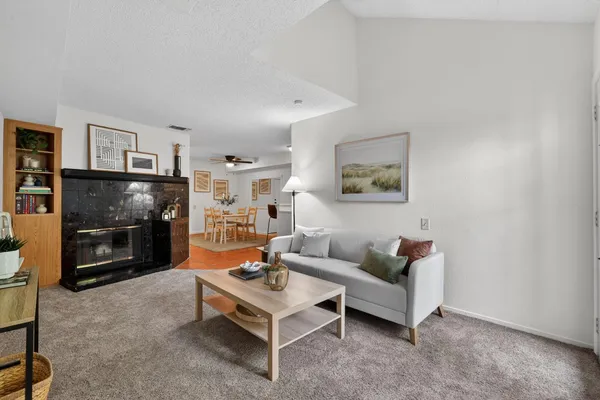 a living room with furniture and a fireplace