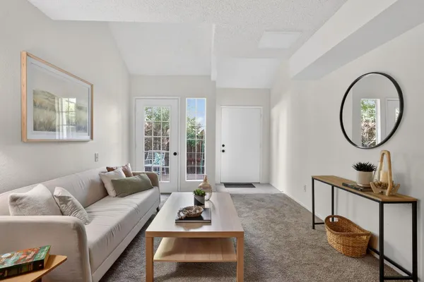 a living room with furniture a rug a window and a potted plant