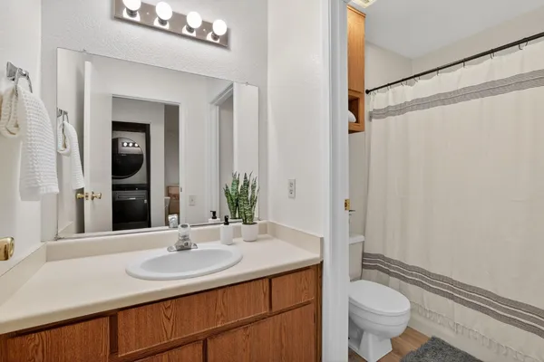 a white bath tub with a potted plant