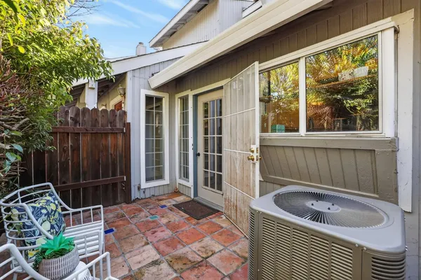 a view of a park with plants and trees