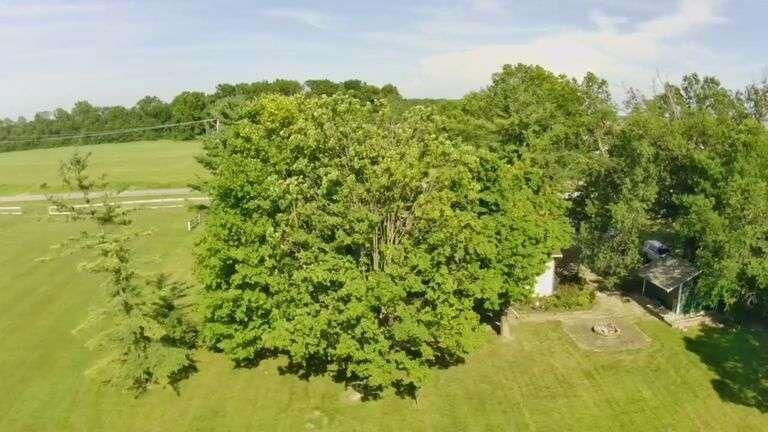 7373 Harlem Road Westerville, OH 43081 - Photo 21 of 24 JDmg8FdAPOAy7V-E_deCyG1D