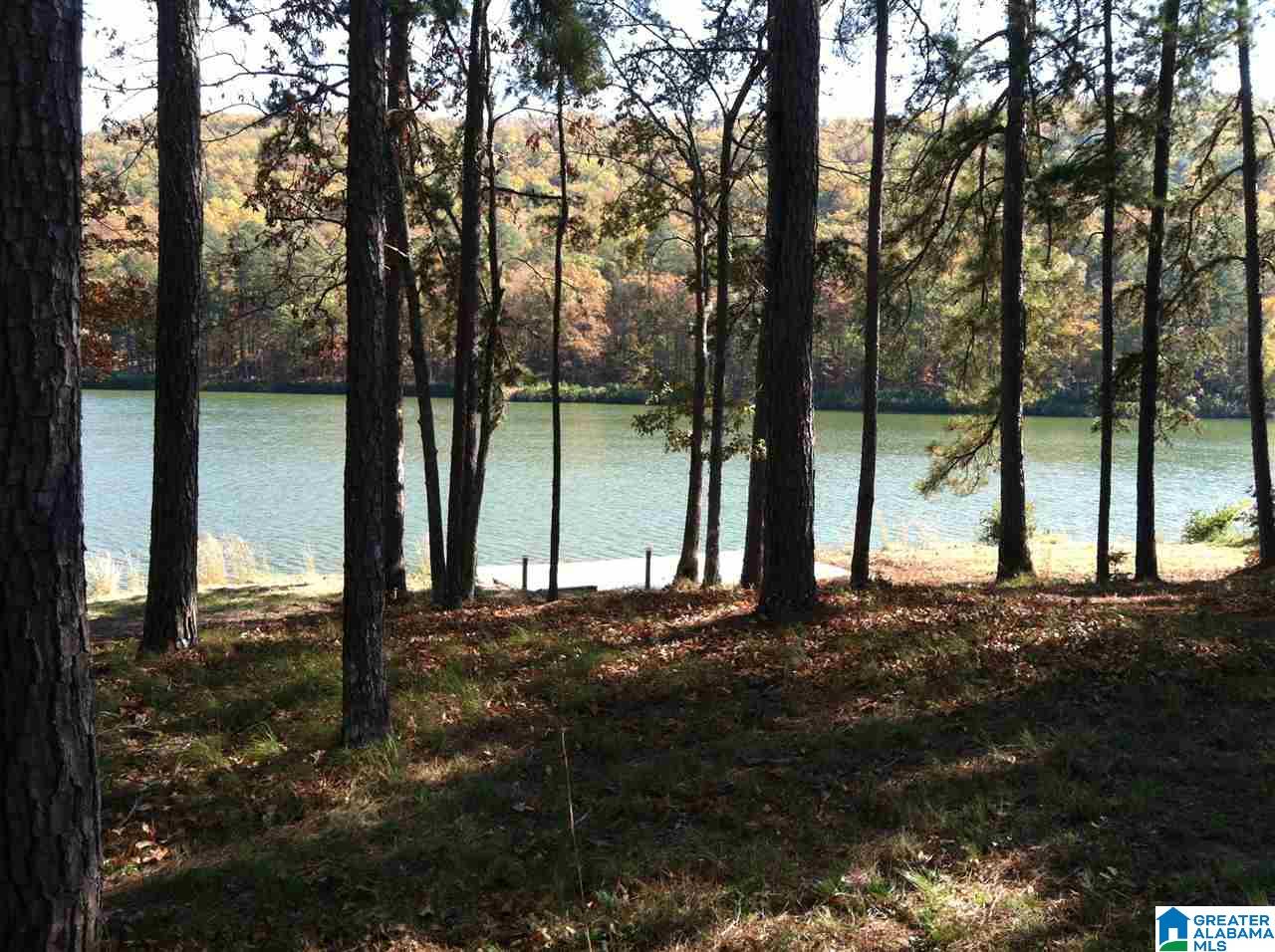 Saunders Bridge Road Sterrett, AL 35147 - Photo 13 of 15