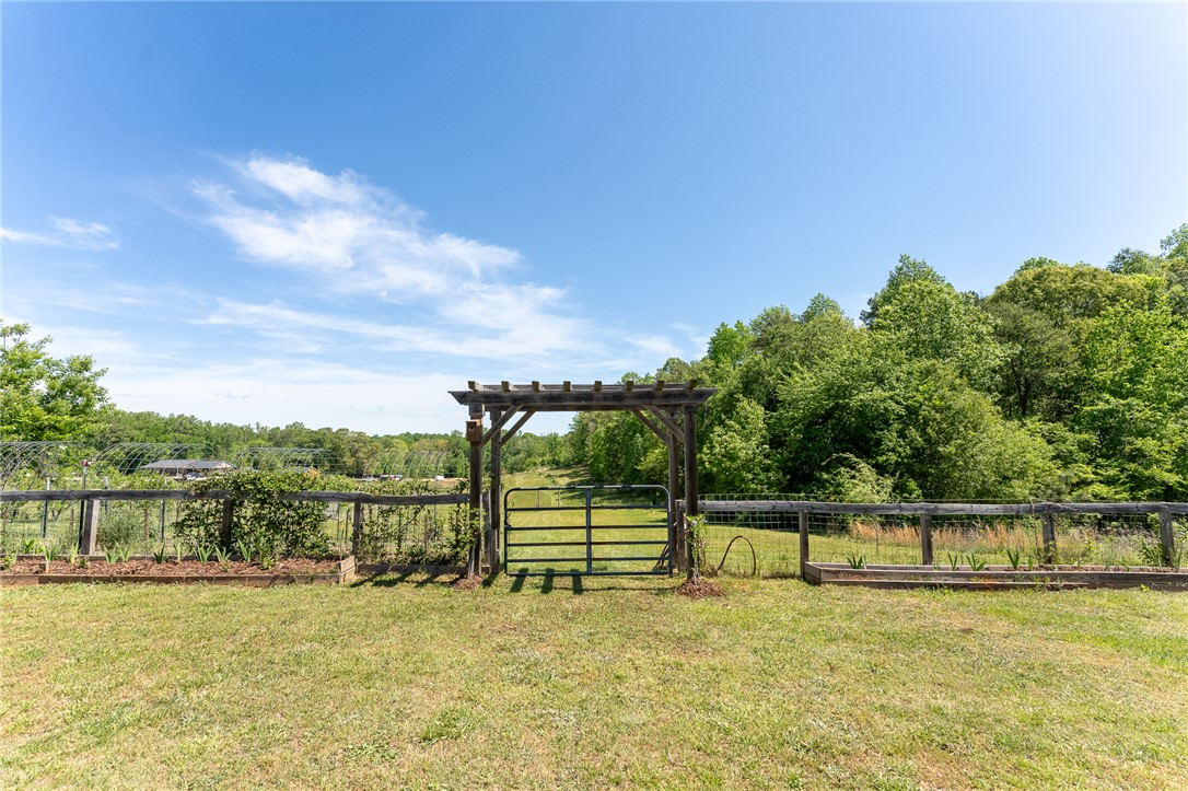 696 Mt Olivet Road Six Mile, SC 29682 - Photo 30 of 35 This expansive yard features a charming wooden pergola and a functional gate, offering an inviting outdoor space.