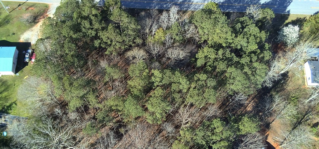 Lot 6 Boyds Mill Pond Road Laurens, SC 29360 - Photo 10 of 11