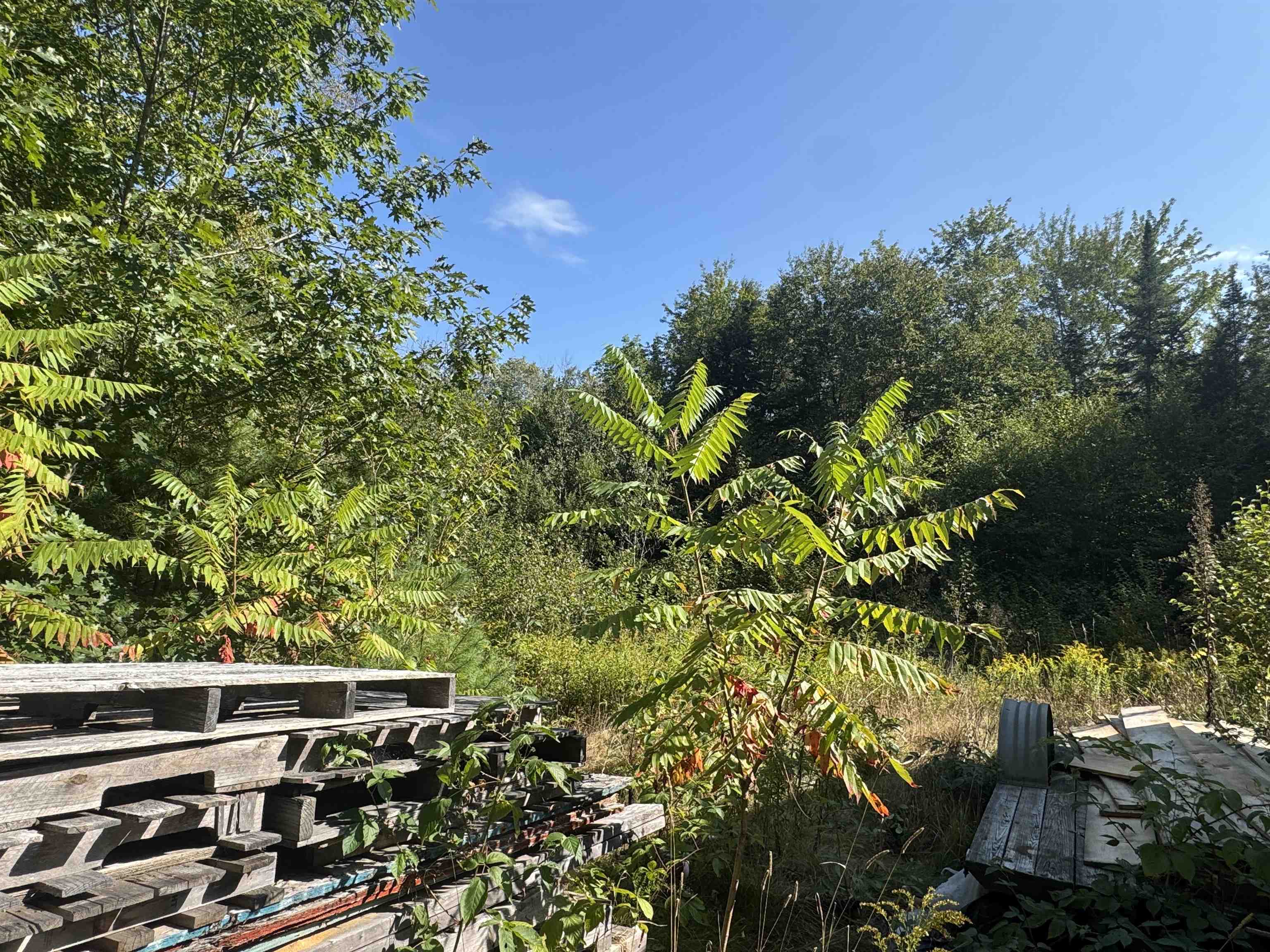 25 Simmons Road Warren, NH 03279 - Photo 12 of 21