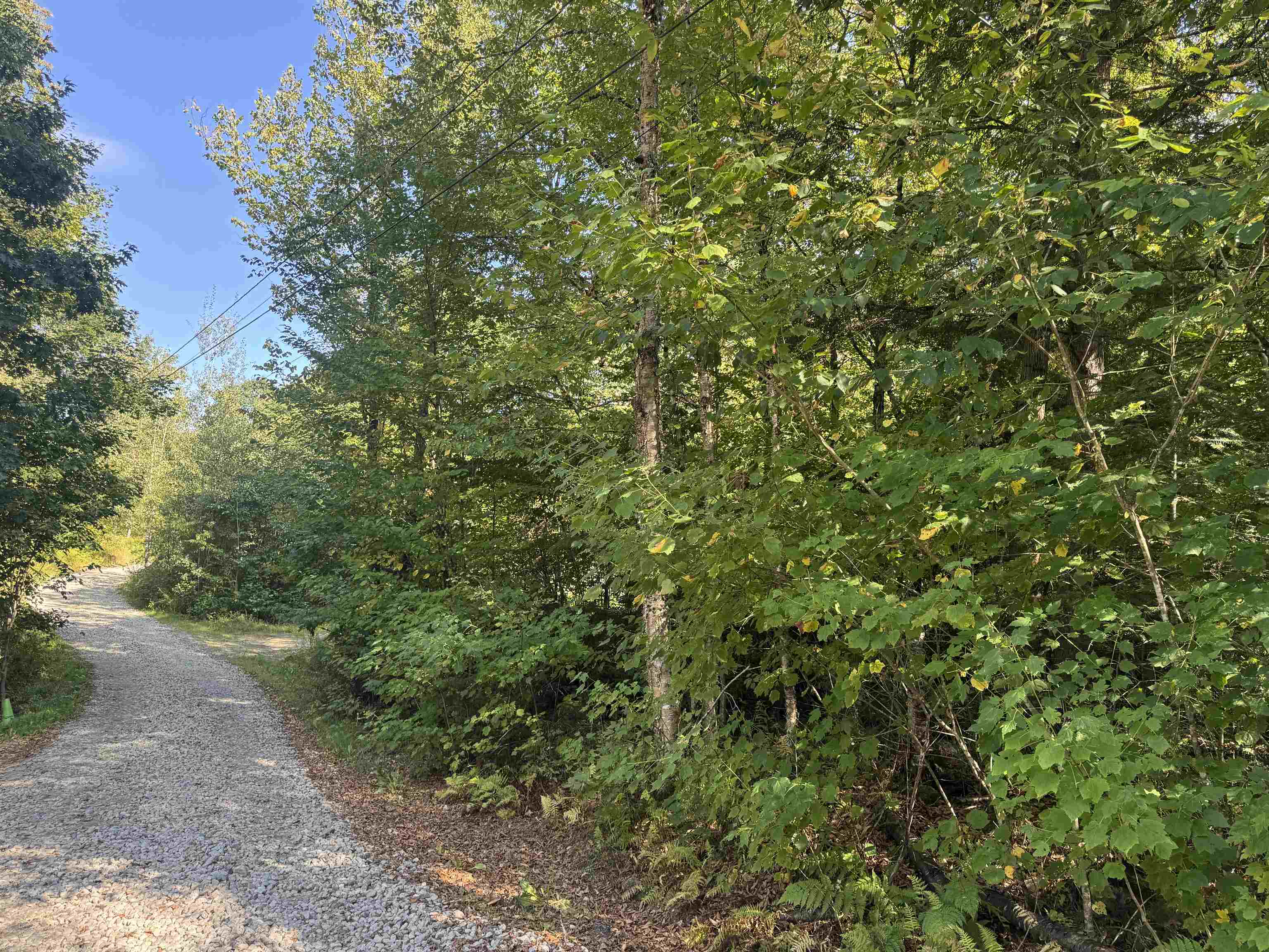 25 Simmons Road Warren, NH 03279 - Photo 3 of 21