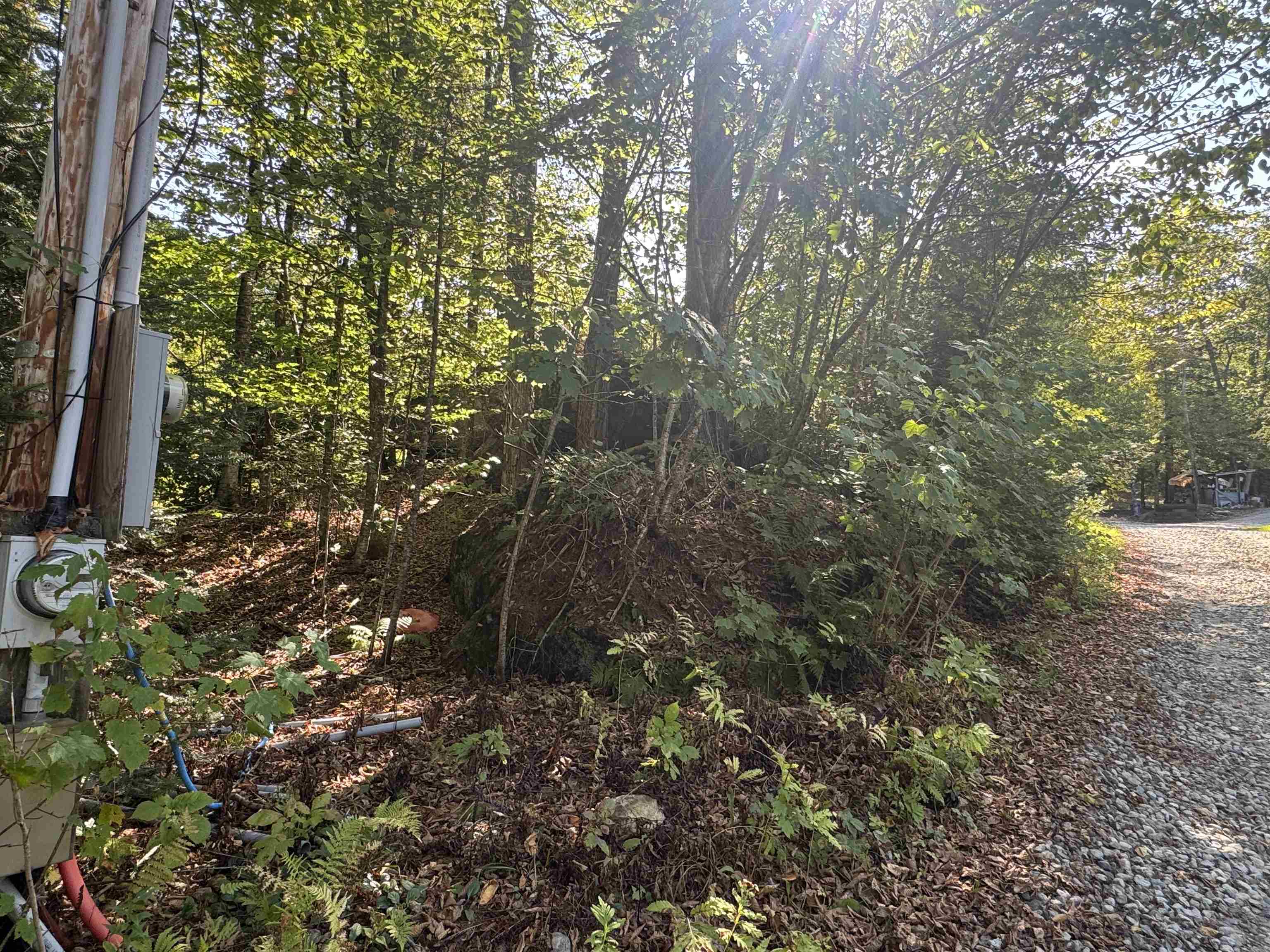 25 Simmons Road Warren, NH 03279 - Photo 4 of 21