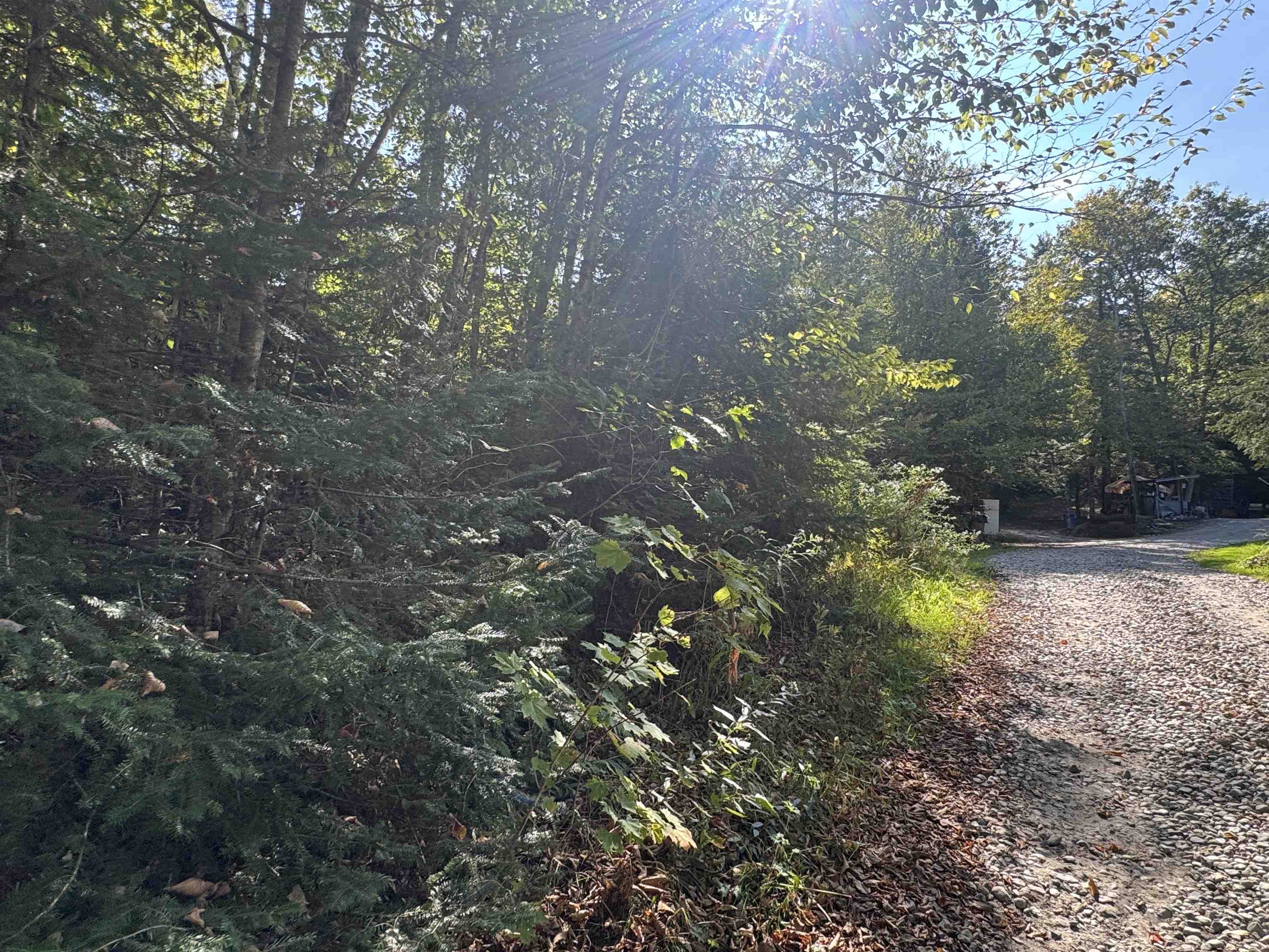 25 Simmons Road Warren, NH 03279 - Photo 9 of 21