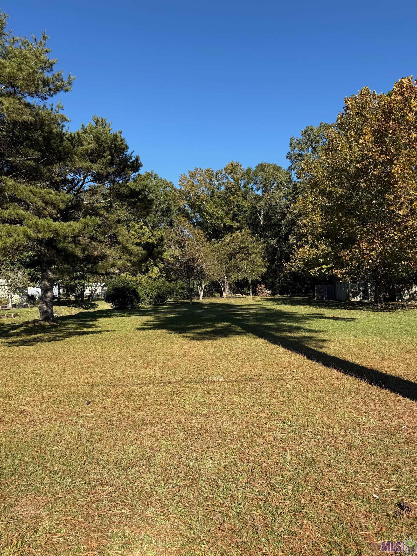 12323 Hooper Road Baton Rouge, LA 70818 - Photo 2 of 4